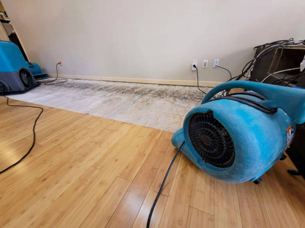 Professional Structural Drying technician working in Manteo, NC